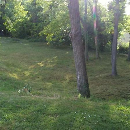 Bed&Breakfast Sile e Natura Sant'Elena di Silea Exterior foto
