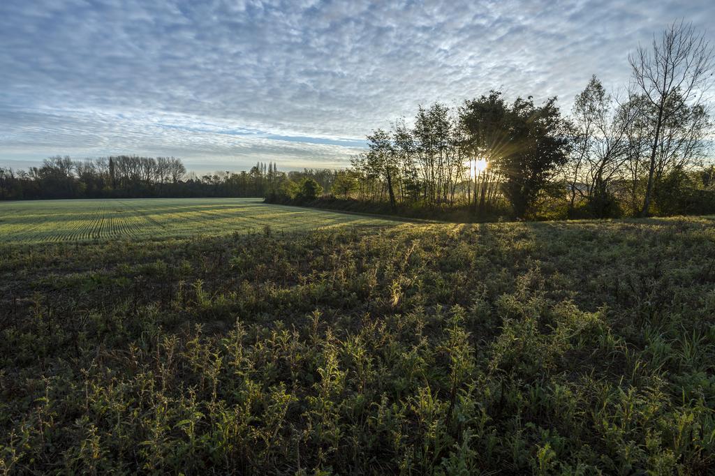 Bed&Breakfast Sile e Natura Sant'Elena di Silea Exterior foto